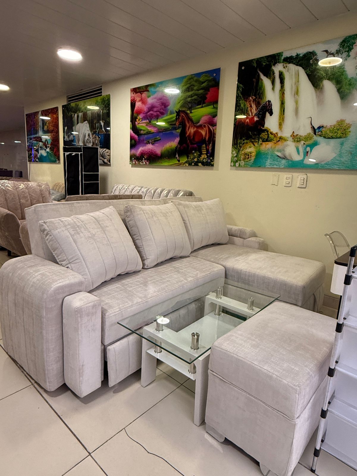 Sala Multifuncional